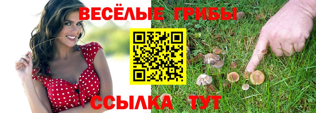 Барнаул  Галлюциногенные грибы ЛСД  Вход с VPN 